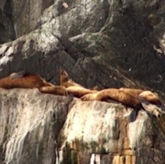 Screen Shot 2016-07-09 at 8.51.34 PM.jpg